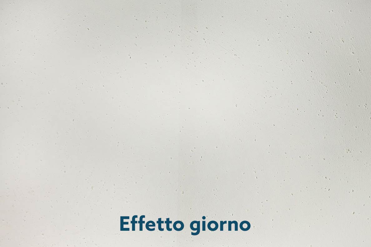 venusia giorno venusia giorno