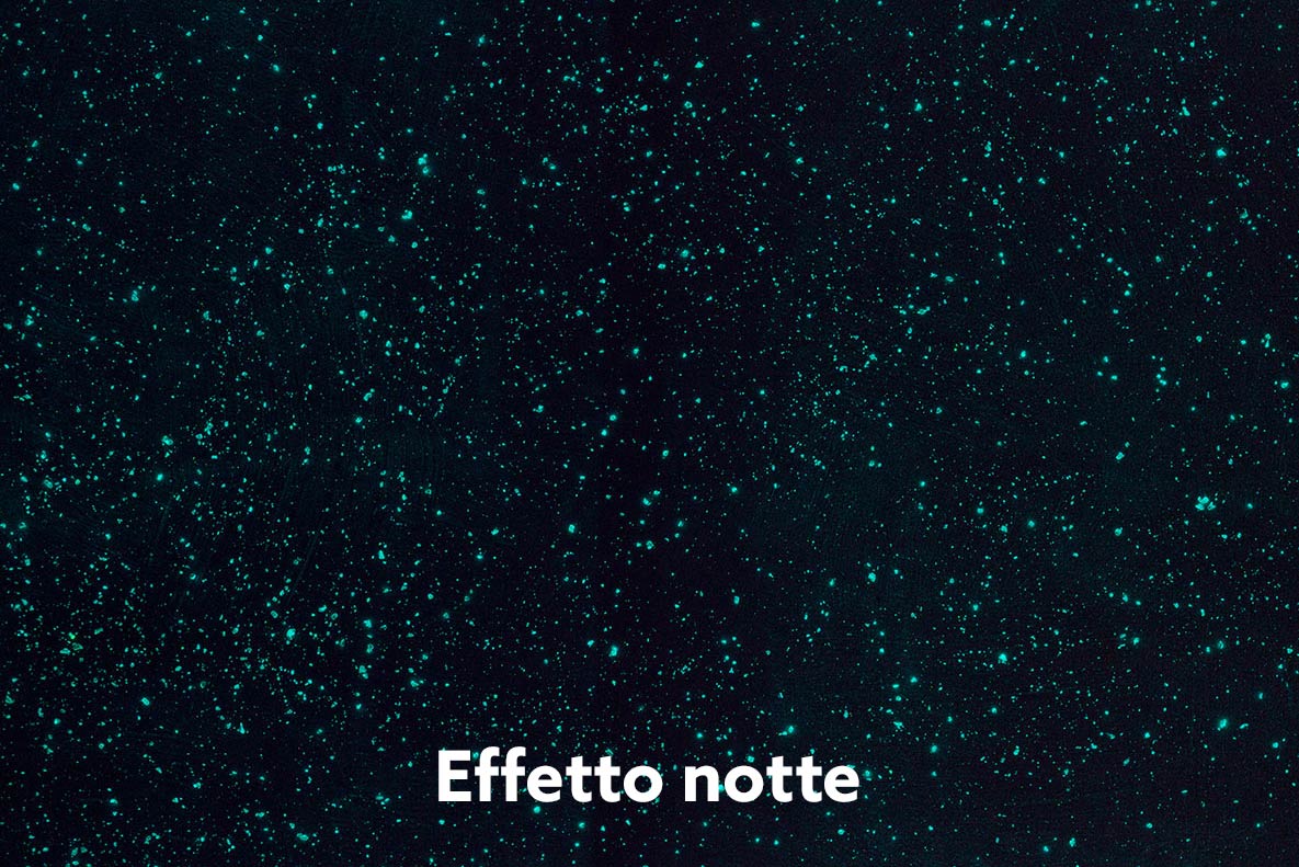 venusia notte venusia notte